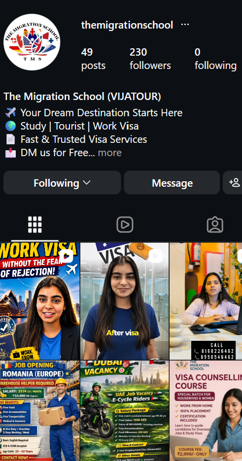 TMS Visa — Instagram Page