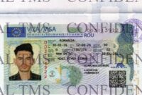 Schengen Work Visa