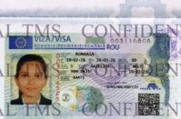 Schengen Work Visa
